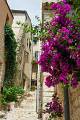 Tourrettes-sur-Loup, Provence