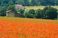 bei Forcalquier, Haute-Provence