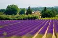 bei Bonnieux, Provence