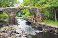 Killarney - Boattrip at Old Weir Bridge