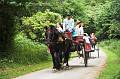 Killarney - Yaunting Car near Muckross Abbey