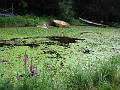 Killarney - Landing Point near Arthur Vincent House