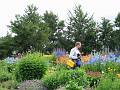 Botanischer Garten von Akureyri