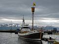 Husavik - Whale Watching