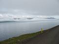 Ostfjorde im Nebel