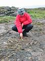 Thingvellir